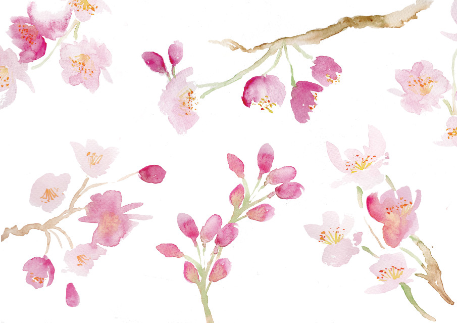 Ayurveda Inspired Seasonal Self-Care | Spring: Kapha Season